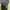 Polo Ralph Lauren Streetwear Hat Pria navy photo 4