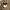 Zara Minimalist Beach bag Wanita cream black photo 1