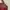 Sophie Martin Vintage Y2K Shoulder bag Wanita burgundy brown photo 5