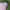 The Best Jeans Casual Hoody Wanita white pink photo 1