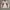 Japanese brand Y2K Biker Fleece Pria white red photo 1