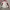 Japanese brand Y2K Biker Fleece Pria white red photo 4