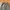 Streetwear Gorpcore Tracksuit Pria gray photo 7