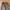 Streetwear Gorpcore Tracksuit Pria gray photo 5