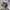 Adidas Casual Sneakers Wanita purple photo 1