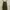 Topshop Luxury Going Out Dress Wanita Green Khaki