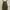 Topshop Luxury Going out dress Wanita green khaki photo 3