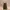 Topshop Luxury Going Out Dress Wanita Green Khaki