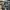 New Balance Streetwear Sportswear Sneakers Pria gray photo 5