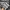 New Balance Streetwear Sportswear Sneakers Pria gray photo 2
