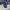 Asics Sportswear Casual Sneakers Pria Multicolor Purple