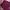 Dickies Vintage Casual pants Pria burgundy photo 5