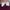 Dickies Vintage Casual pants Pria burgundy photo 3