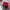 Dickies Vintage Casual pants Pria burgundy photo 1