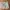 Columbia Gorpcore Sportswear Tracksuit Pria tan photo 8