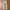 Columbia Gorpcore Sportswear Tracksuit Pria tan photo 7