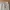 The North Face Streetwear Gorpcore Tracksuit Pria tan photo 7