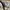 The North Face Streetwear Gorpcore Tracksuit Pria tan photo 8