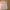 The North Face Streetwear Gorpcore Tracksuit Pria tan photo 5