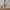 The North Face Streetwear Gorpcore Tracksuit Pria tan photo 6