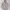 Nike Casual Fleece Pria gray photo 1