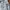 Columbia Gorpcore Sportswear Tracksuit Pria white blue photo 8