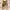 Vintage Y2K Skirt Wanita cream brown photo 1