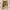 Vintage Y2K Skirt Wanita Cream Brown