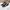 Christian Louboutin Casual Sneakers Pria white black photo 4