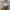 Pancoat Casual Sweater Pria gray photo 3