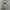 Pancoat Casual Sweater Pria gray photo 1