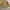 Vintage Casual Jumper Pria tan cream photo 2