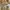 Vintage Casual Jumper Pria tan cream photo 3