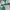 X-girl Streetwear Skater Fleece Pria green cream photo 3