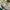X-girl Streetwear Skater Fleece Pria green cream photo 6