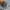 Adidas Casual Sweater Pria gray photo 5