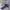 Nike Vintage Hat Pria Purple