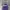 Nike Vintage Hat Pria Purple