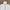 Head Sportswear Casual Track jacket Wanita white photo 2