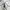 Head Sportswear Casual Track jacket Wanita white photo 3