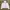 Head Sportswear Casual Track jacket Wanita white photo 1