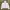 Head Sportswear Casual Track Jacket Wanita White