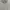 Japanese brand Minimalist Casual Harrington jacket Pria khaki cream photo 3