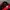 Adidas Sportswear Casual Track Jacket Pria Black Red