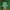 Vintage Skater Hat Pria green photo 1