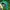 Vintage Skater Hat Pria green photo 2