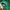 Vintage Skater Hat Pria Green