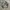 Japanese brand Luxury Avant Garde Windbreaker Pria white black photo 2