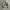 Japanese brand Luxury Avant Garde Windbreaker Pria white black photo 1
