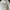 New Era Casual Hat Pria white photo 6